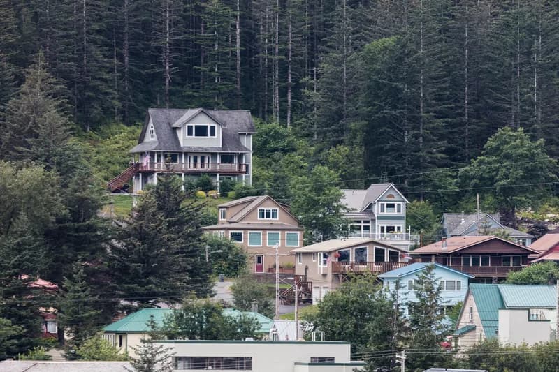 Forested hillside on the edge of Juneau, Alaska